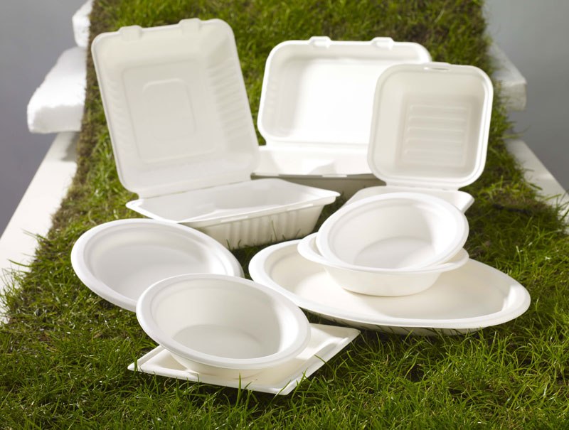 Eco-friendly biodegradable tableware form Ecoware 