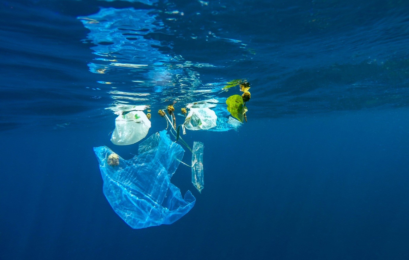 Why not to use single-use plastic, and 14 ways to reduce its consumption