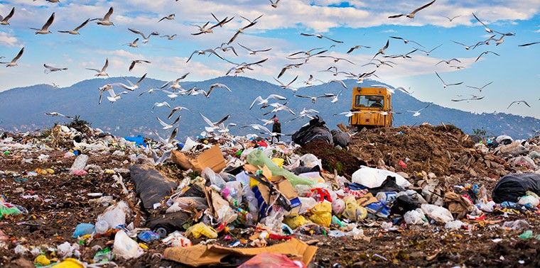 Garbage Landfill causing environment pollution