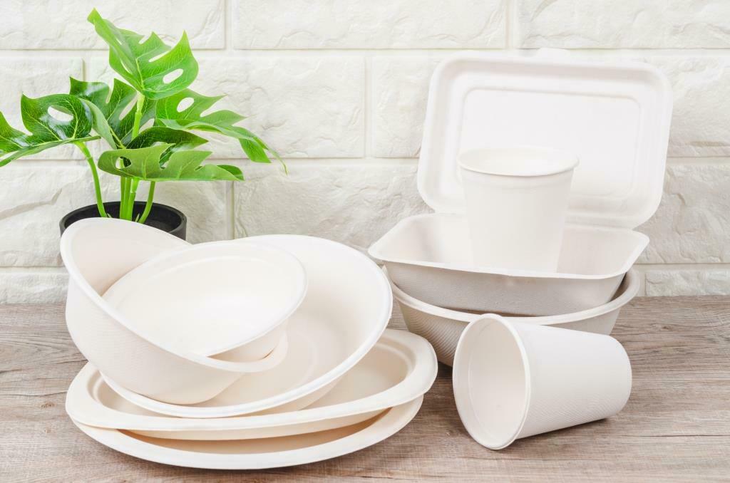 Ecoware – Introducing India to biodegradable eco-friendly tableware