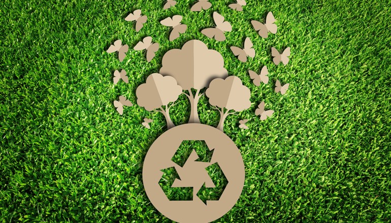 7 Reasons to Switch to Eco-friendly Packaging (3)