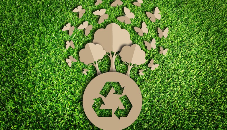 7 Reasons to switch to eco-friendly packaging