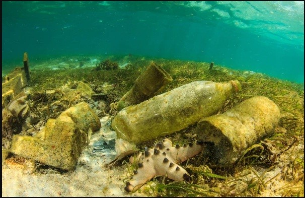 Biodegradable Cutlery, Key To Having Plastic Pollution-Free Future! (2)