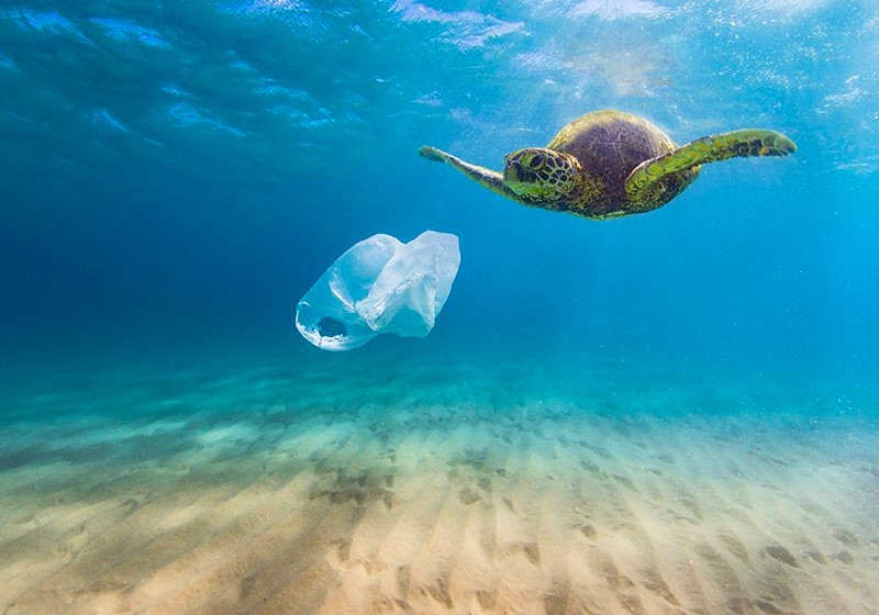 Practical Steps to Solve the Plastic Pollution Crisis (2)