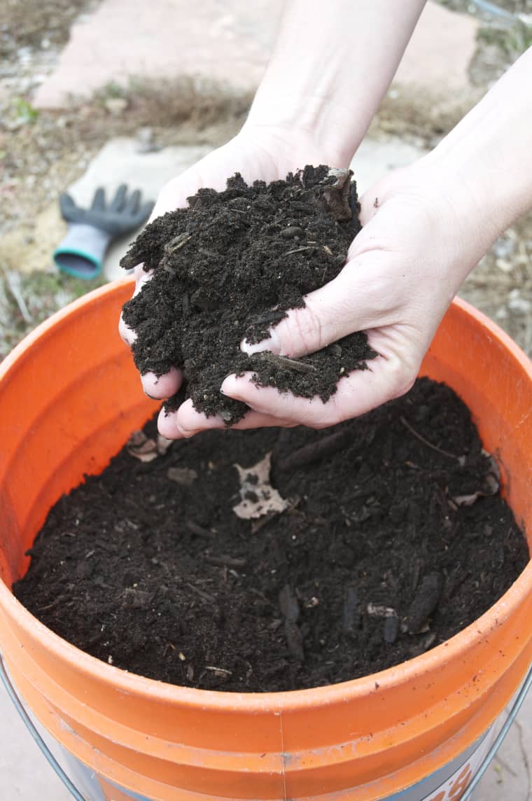 Backyard Composting