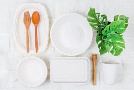 Eco-friendly Disposable Tableware