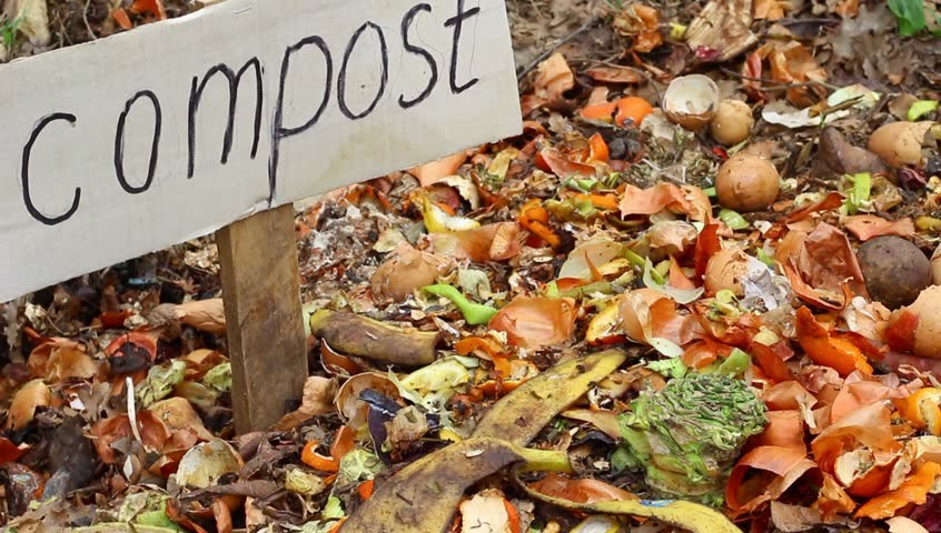 Compost Your Food Scraps