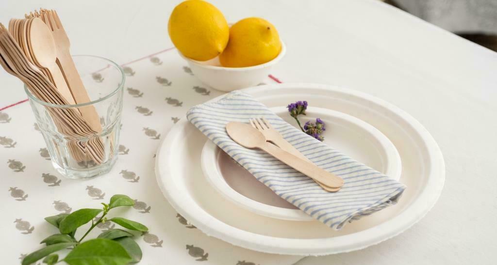 Eco Friendly Disposable Cutlery and Plates from Ecoware