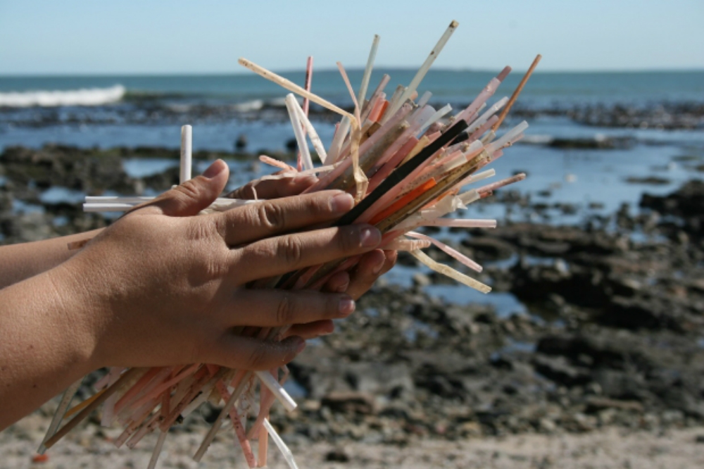 Plastic straws is not biodegradable