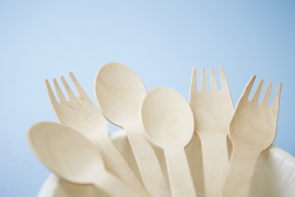 Bamboo Cutlery