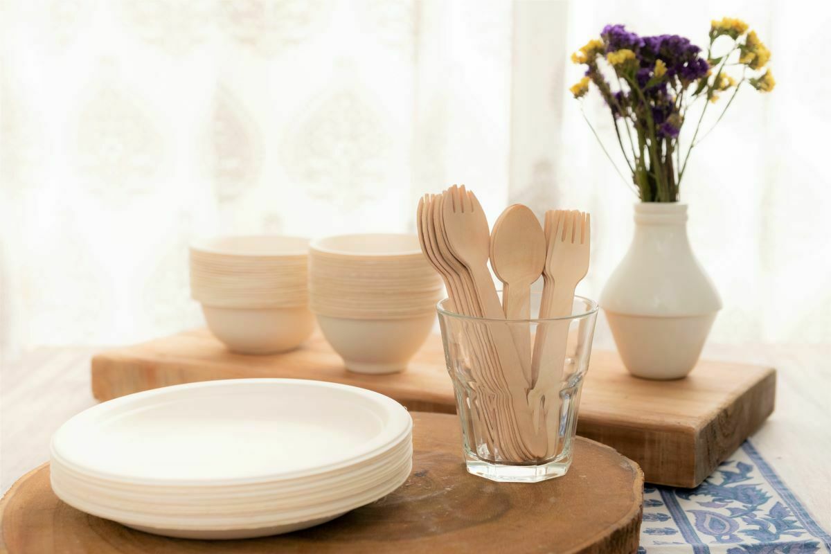 eco-friendly disposable tableware