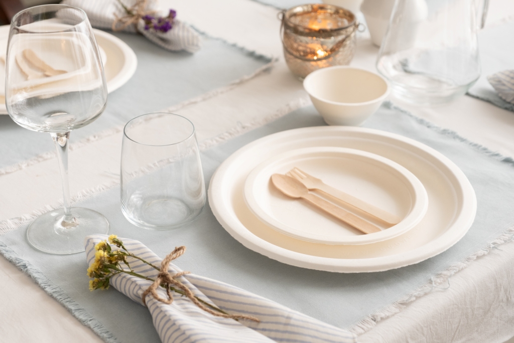 Biodegradable Disposable Tableware