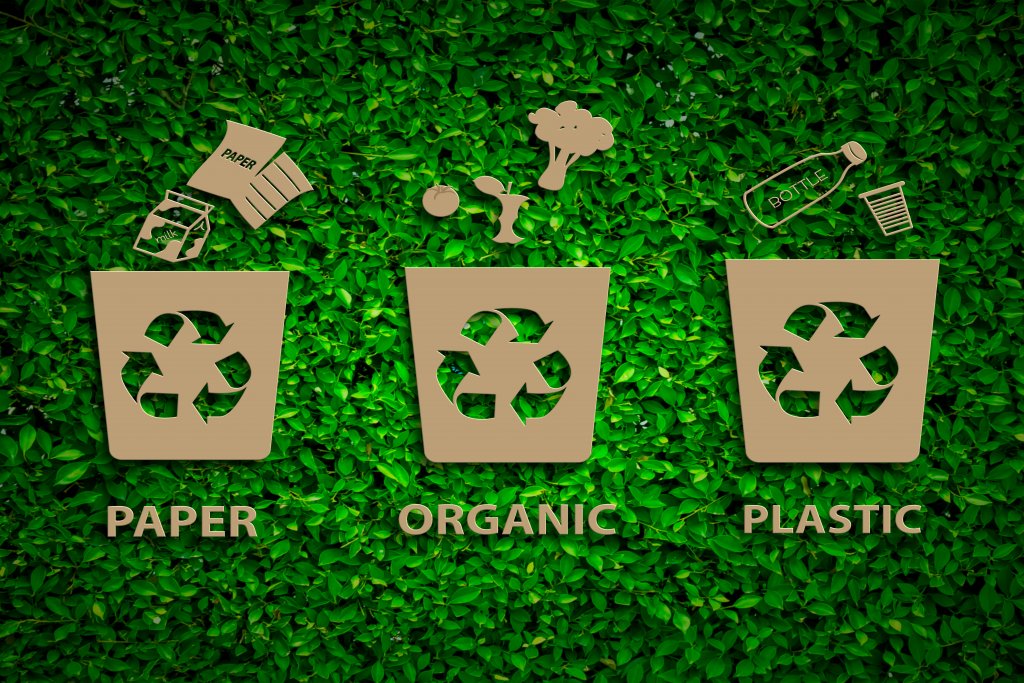 To Live a Sustainable Life, Start With Waste Segregation