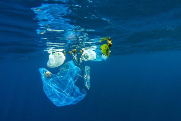 Why not to use single-use plastic, and 14 ways to reduce its consumption