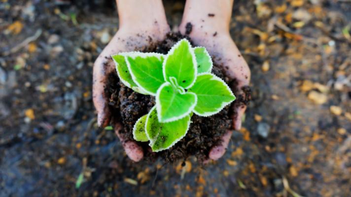 Biodegradable v/s Compostable: 5 Facts you must know about!