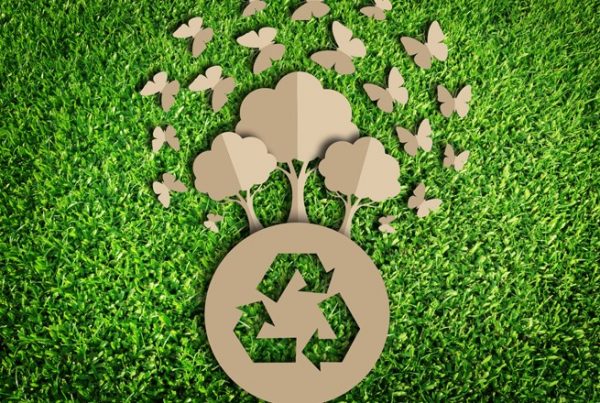 7 Reasons to Switch to Eco-friendly Packaging (3)