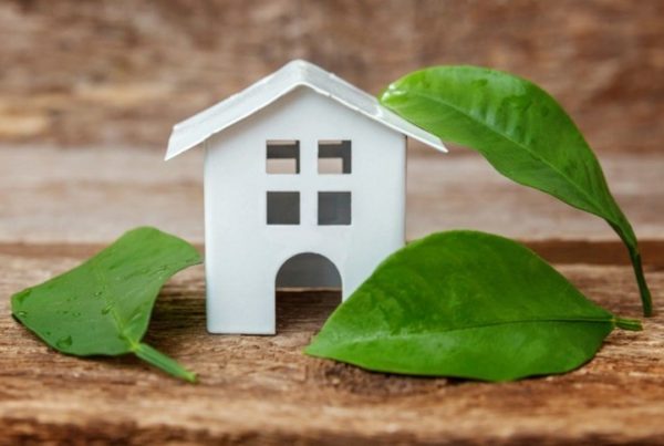 Think You Are Eco-friendly Does Your Home Have these 5 Green Essentials (1)