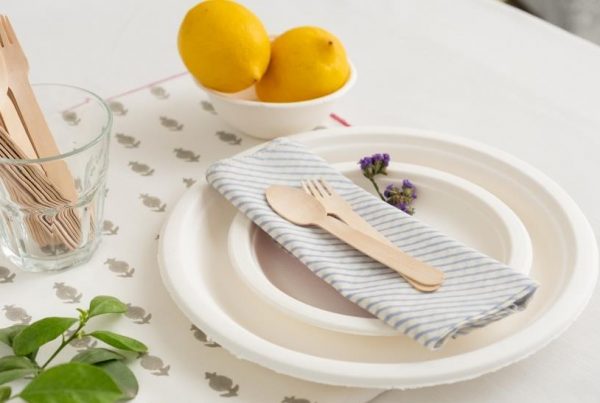 Eco Friendly Disposable Cutlery and Plates from Ecoware