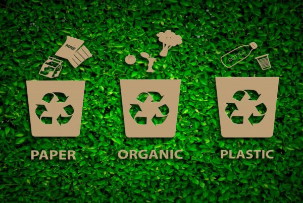 WasteSegregation_Ecoware