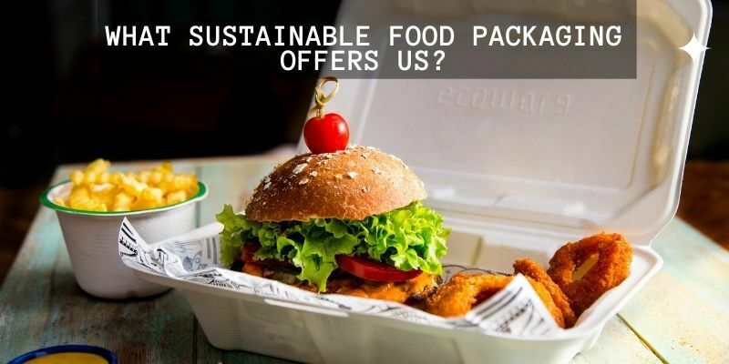 What Sustainable Food Packaging Offers Us?