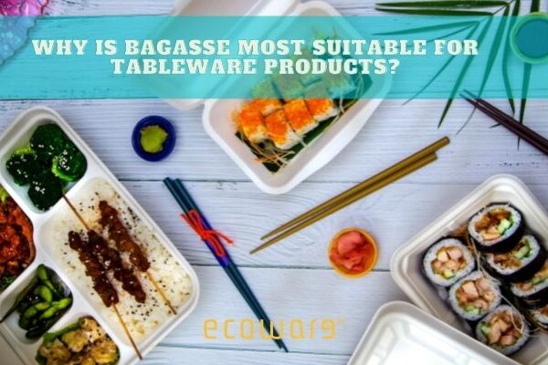 ecoware blog