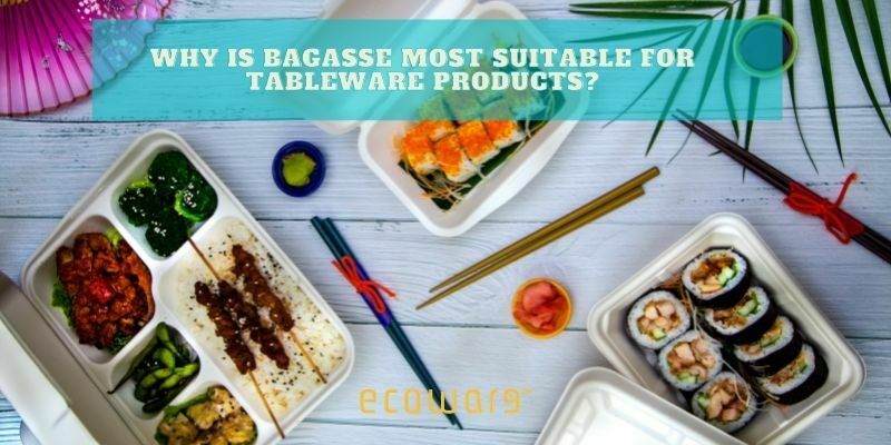 Why is bagasse most suitable for tableware products?